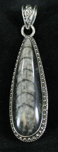 Fossil Orthoceras Pendant - Sterling Silver #23961